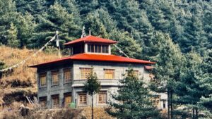 Cultural Preservation